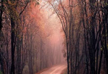 乐鱼体育登陆入口-小组赛德甲：掘金不敌利物浦，引爆足球圈世纪大讨论！