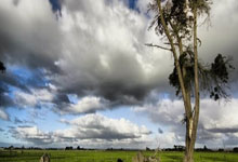 乐鱼体育登陆入口-小组赛德甲：掘金不敌利物浦，引爆足球圈世纪大讨论！